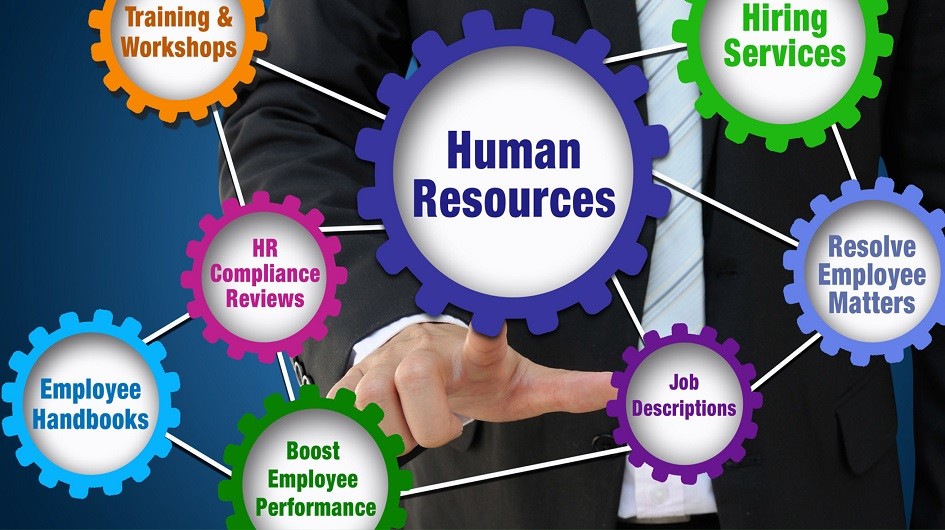 Human resource responsibility categories